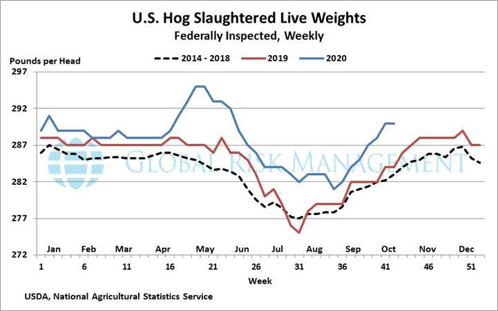 Live Weights