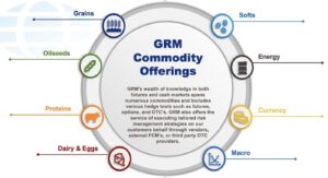 Global Risk Management Commodity Offerings Circular Chart